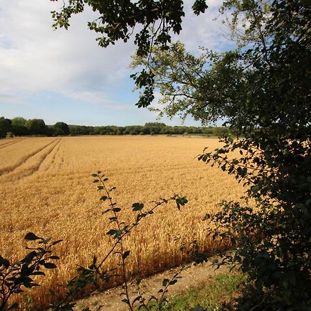 Cowslip Barn Annexe, Countryside Stay Near チチェスター エクステリア 写真
