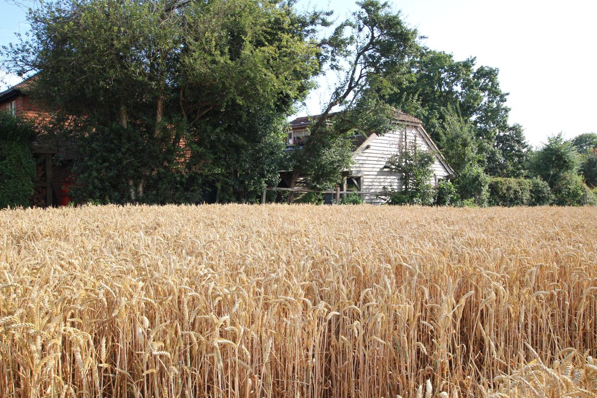 Cowslip Barn Annexe, Countryside Stay Near チチェスター エクステリア 写真